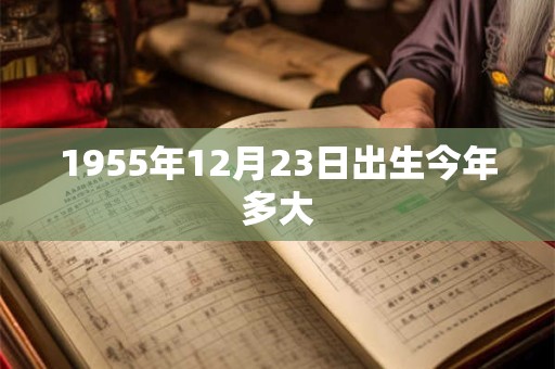 1955年12月23日出生今年多大