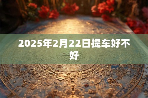 2025年2月22日提车好不好