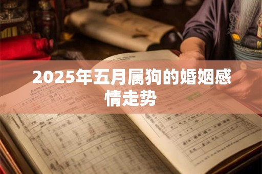 2025年五月属狗的婚姻感情走势