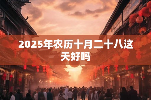 2025年农历十月二十八这天好吗