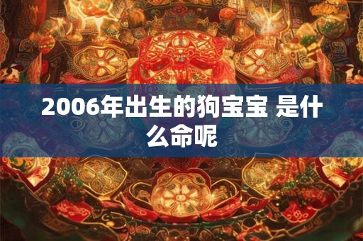2006年出生的狗宝宝 是什么命呢