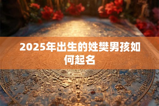 2025年出生的姓樊男孩如何起名 2025年出生的姓樊男孩如何起名