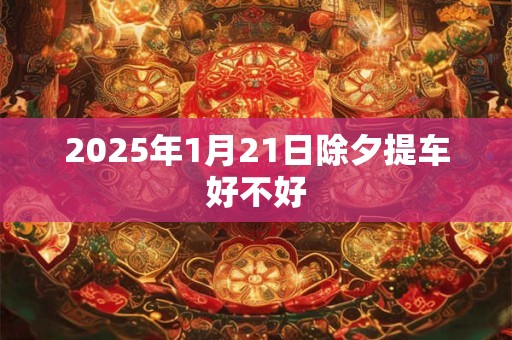 2025年1月21日除夕提车好不好