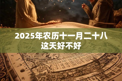 2025年农历十一月二十八这天好不好