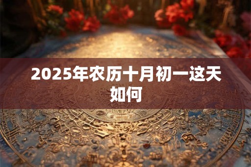 2025年农历十月初一这天如何
