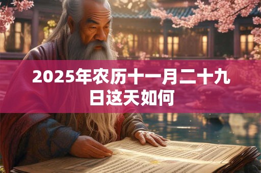 2025年农历十一月二十九日这天如何