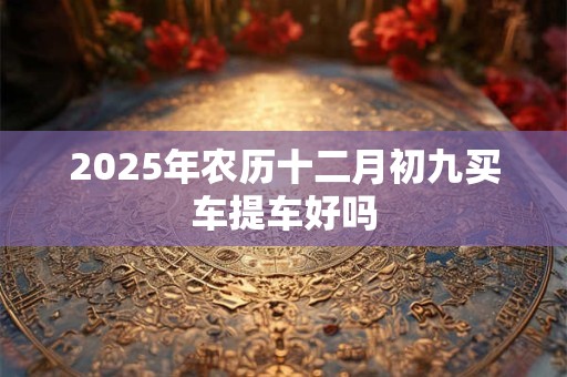 2025年农历十二月初九买车提车好吗
