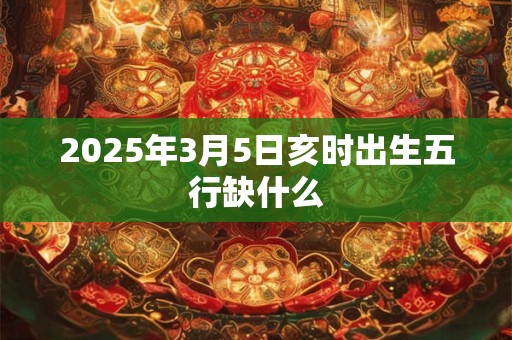 2025年3月5日亥时出生五行缺什么