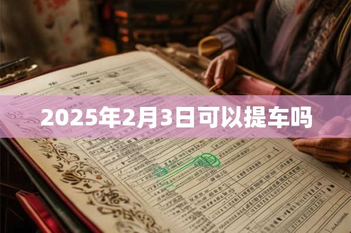 2025年2月3日可以提车吗