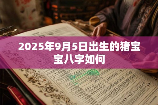 2025年9月5日出生的猪宝宝八字如何 2025年9月5日出生的猪宝宝八字如何