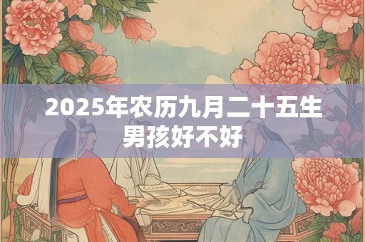 2025年农历九月二十五生男孩好不好