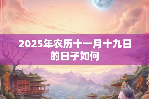 2025年农历十一月十九日的日子如何