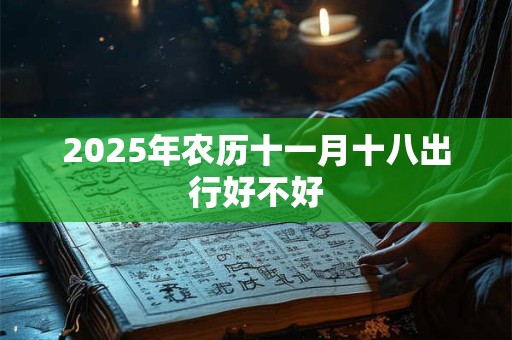 2025年农历十一月十八出行好不好
