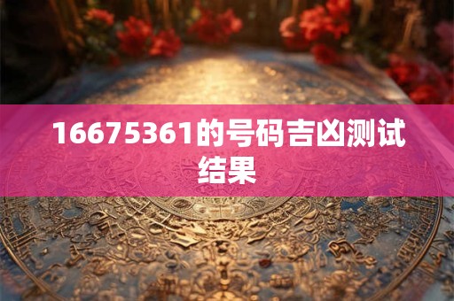 16675361的号码吉凶测试结果