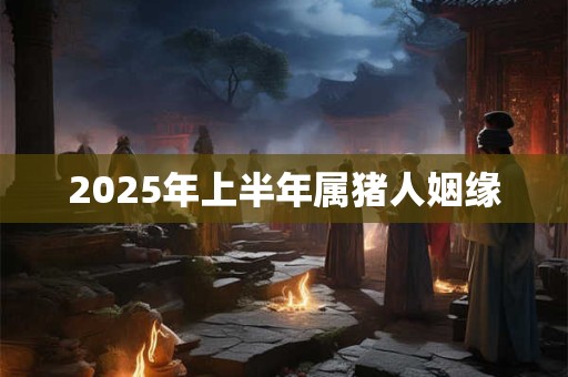 2025年上半年属猪人姻缘