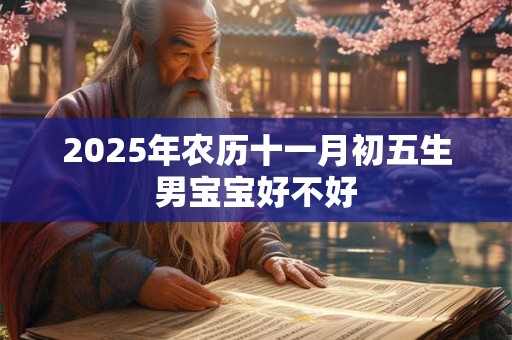2025年农历十一月初五生男宝宝好不好