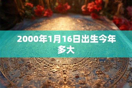 2000年1月16日出生今年多大