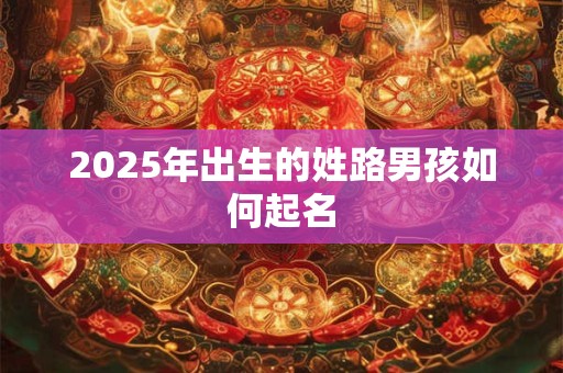 2025年出生的姓路男孩如何起名