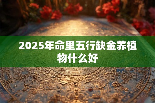 2026年命里五行缺金养植物什么好