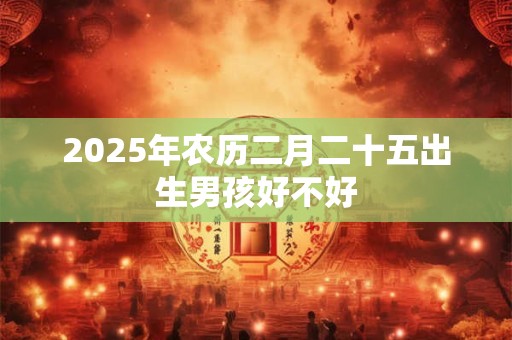 2025年农历二月二十五出生男孩好不好 2025年农历二月二十五出生男孩好不好