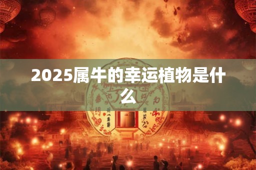 2025属牛的幸运植物是什么 2025属牛的幸运植物是什么