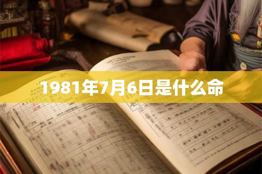 1981年7月6日是什么命