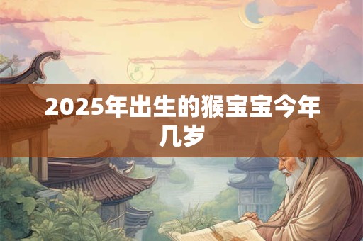 2025年出生的猴宝宝今年几岁
