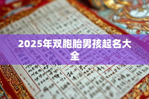 2025年双胞胎男孩起名大全