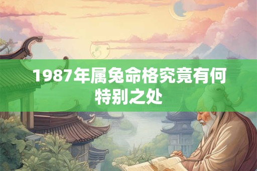 1987年属兔命格究竟有何特别之处