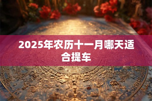 2025年农历十一月哪天适合提车