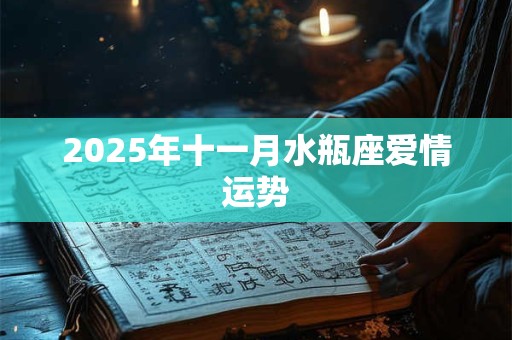 2025年十一月水瓶座爱情运势