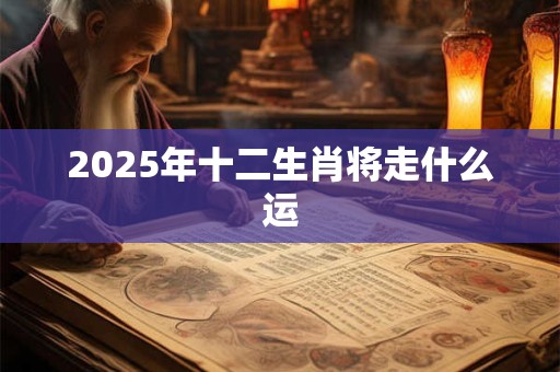 2025年十二生肖将走什么运