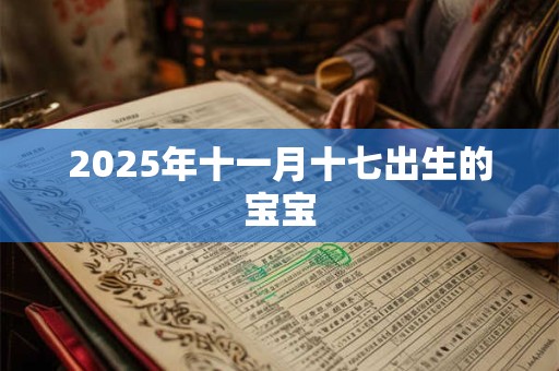 2025年十一月十七出生的宝宝