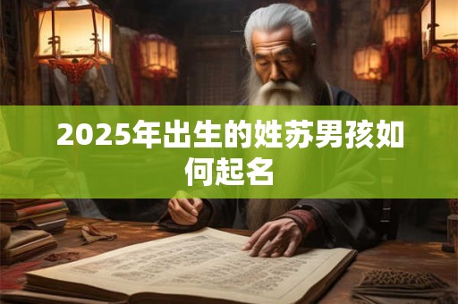 2025年出生的姓苏男孩如何起名