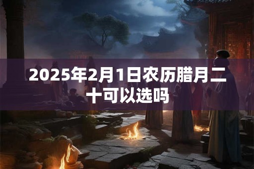 2025年2月1日农历腊月二十可以选吗