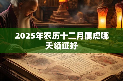 2025年农历十二月属虎哪天领证好 2025年农历十二月属虎哪天领证好