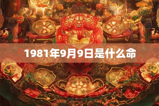 1981年9月9日是什么命 1981年9月9日是什么命