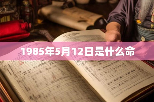 1985年5月12日是什么命