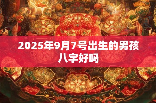 2025年9月7号出生的男孩八字好吗