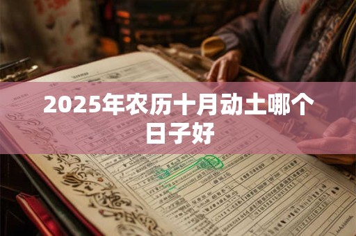 2025年农历十月动土哪个日子好