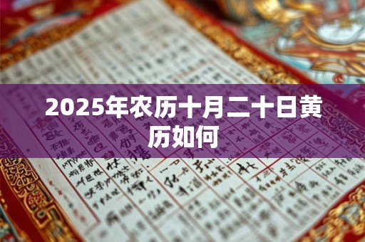 2025年农历十月二十日黄历如何