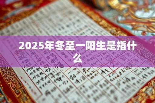 2025年冬至一阳生是指什么