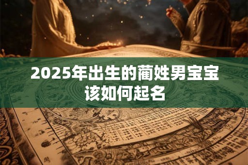2025年出生的蔺姓男宝宝该如何起名 2025年出生的蔺姓男宝宝该如何起名