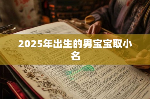 2025年出生的男宝宝取小名 2025年出生的男宝宝取小名