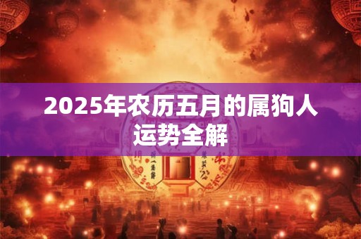 2025年农历五月的属狗人运势全解 2025年农历五月的属狗人运势全解