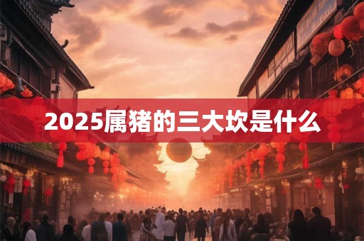 2025属猪的三大坎是什么 2025属猪的三大坎是什么