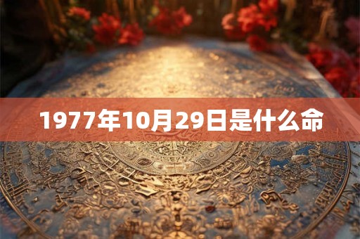 1977年10月29日是什么命 1977年10月29日是什么命