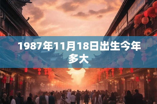 1987年11月18日出生今年多大