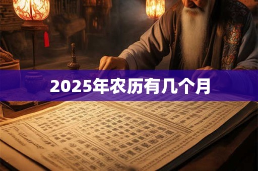2025年农历有几个月 2025年农历有几个月