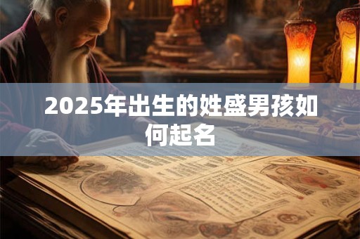 2026年出生的姓盛男孩如何起名